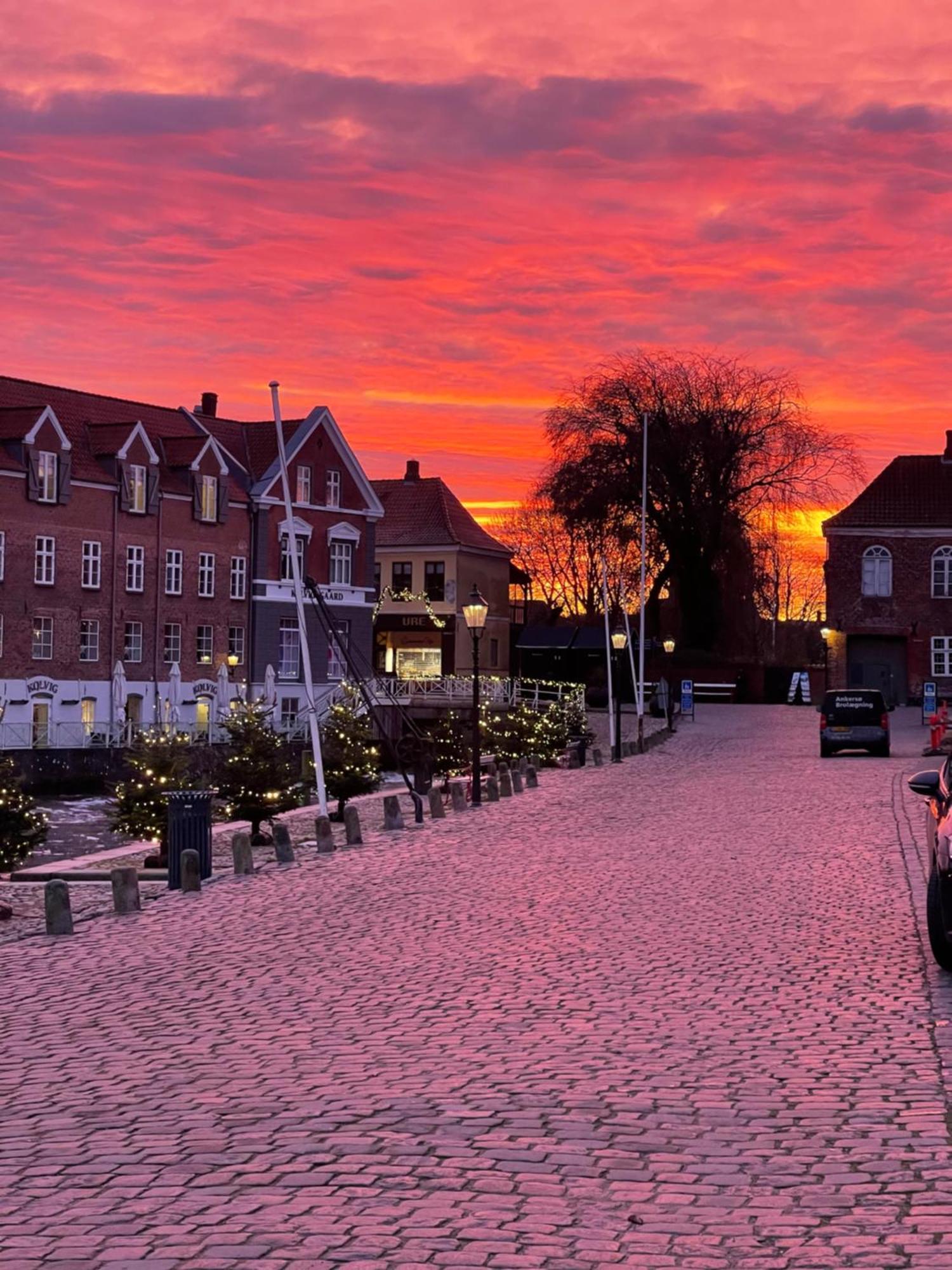 Restaurant Saelhunden Ribe Exterior foto