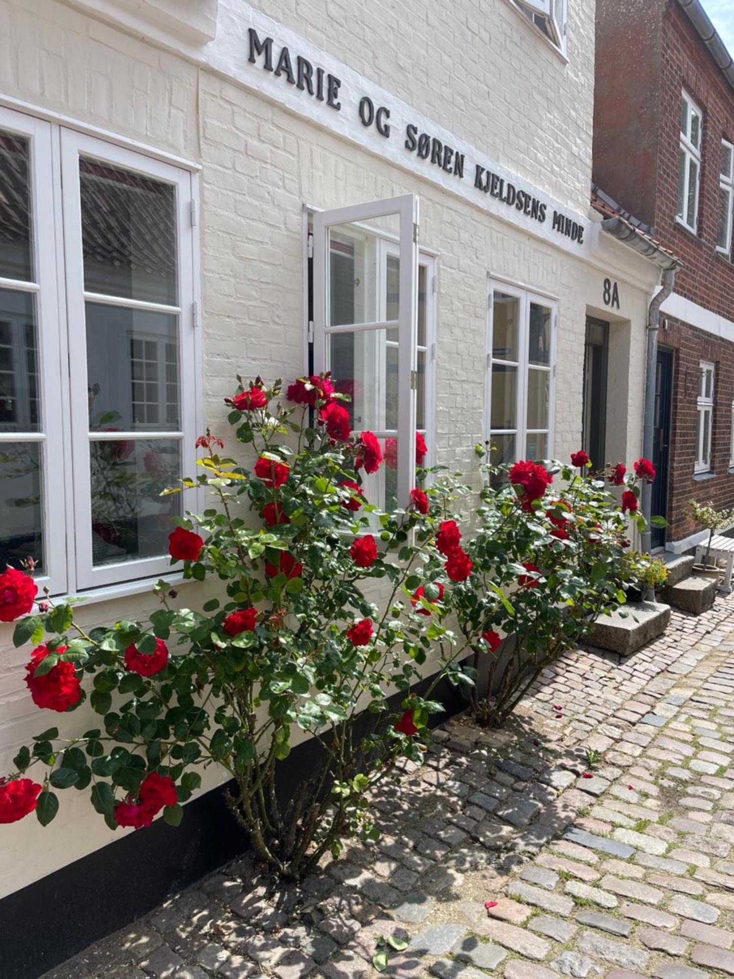 Restaurant Saelhunden Ribe Exterior foto